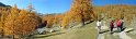 IMG_1053 - Panorama